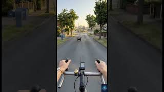 Ultimate First-Person Cycling Journey (Snow, Suburbs, Tracks & Beach) 🚴♂️ #Cycling #BikeRide