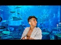 Tour por el ACUARIO MÁS GRANDE DE DUBAI 🇦🇪// LOST CHAMBERS ATLANTIS THE PALM AQUARIUM //🐟🦈🐡🐙