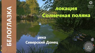 Русская рыбалка 4 - река Северский Донец - Белоглазка под ветками