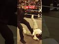 wwe #viral #viralshorts