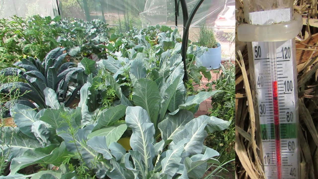 Aquaponics for flowers Massachusetts cannabis gift guide: Industry gives way to shop local with products to help with sleep, support women-owned businesses