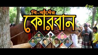 বি-বাধেঁর কোরবান - ২০১৯ । B-Badh Kurban 2019