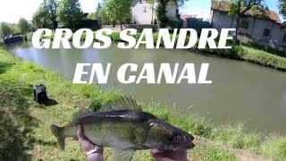 GROS SANDRE | Brochets et Perches | Go Pro HD