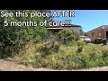 RETURN to THE MOST NEGLECTED YARD EVER! 4 VIDEOS in 1!