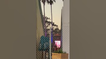 Alanis Morissette ￼at Ohana Fest / Ironic