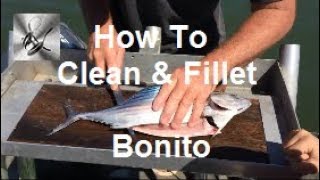 How To Clean & Fillet Bonito | The Hook and The Cook