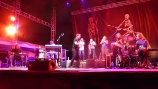 Video thumbnail of "Sturgill Simpson - Welcome to Earth (Pollywog) - (Houston 05.10.16) HD"