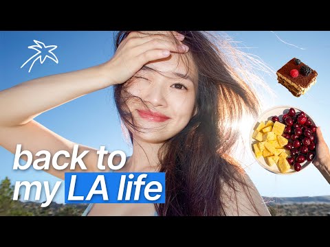 I went back to my old life in LA…