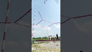 Event Merpati kolong🦅 #reels #pigeon #merpatikolong
