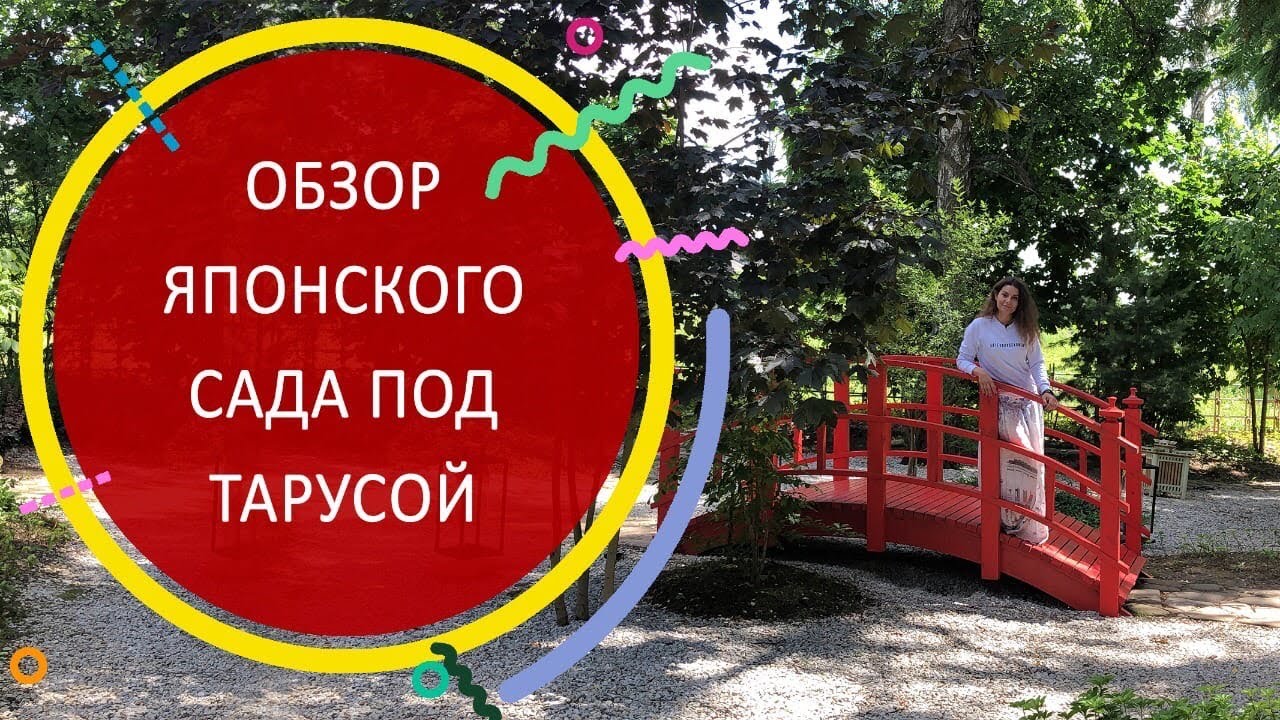 Ока под тарусой