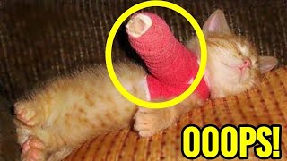 Most Unbelievable Lies Parents Tell Their Kids