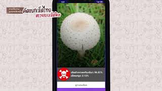 วิธีการใช้งานแอพพลิเคชั่นคัดแยกเห็ดไทยตรวจสอบเห็ดพิษ 🍄 screenshot 4