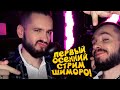 ПЕРВЫЙ ОСЕННИЙ СТРИМ У ШИМОРО! - ПОГОВОРИМ И ПОИГРАЕМ?