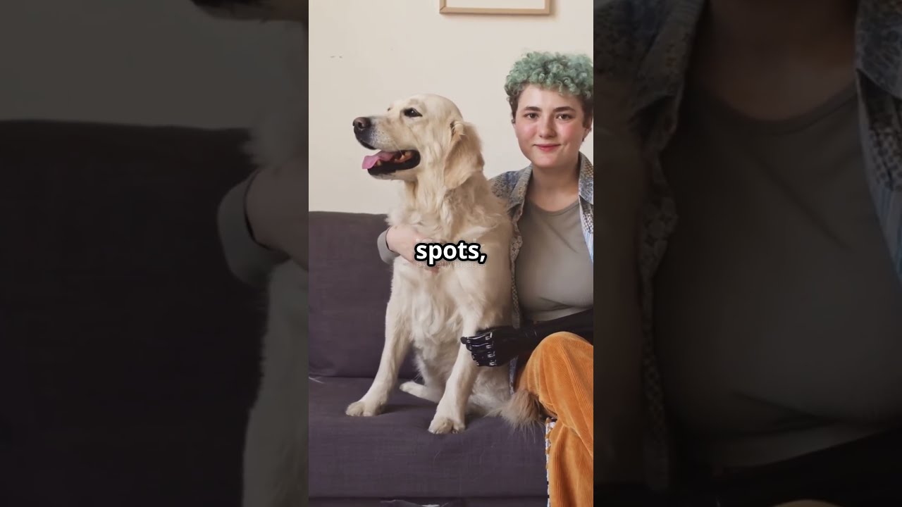 5 Dog Habits That Prove They Understand You More Than Think Pets Doglove Tailsure Puppy