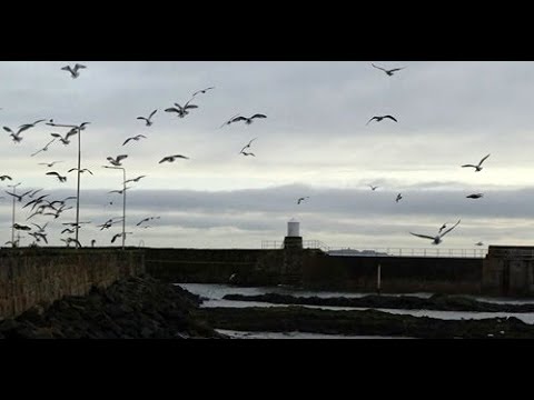 Winter Tide Coming In By The Coastal Walking Path On Visit To East Neuk Of Fife Scotland