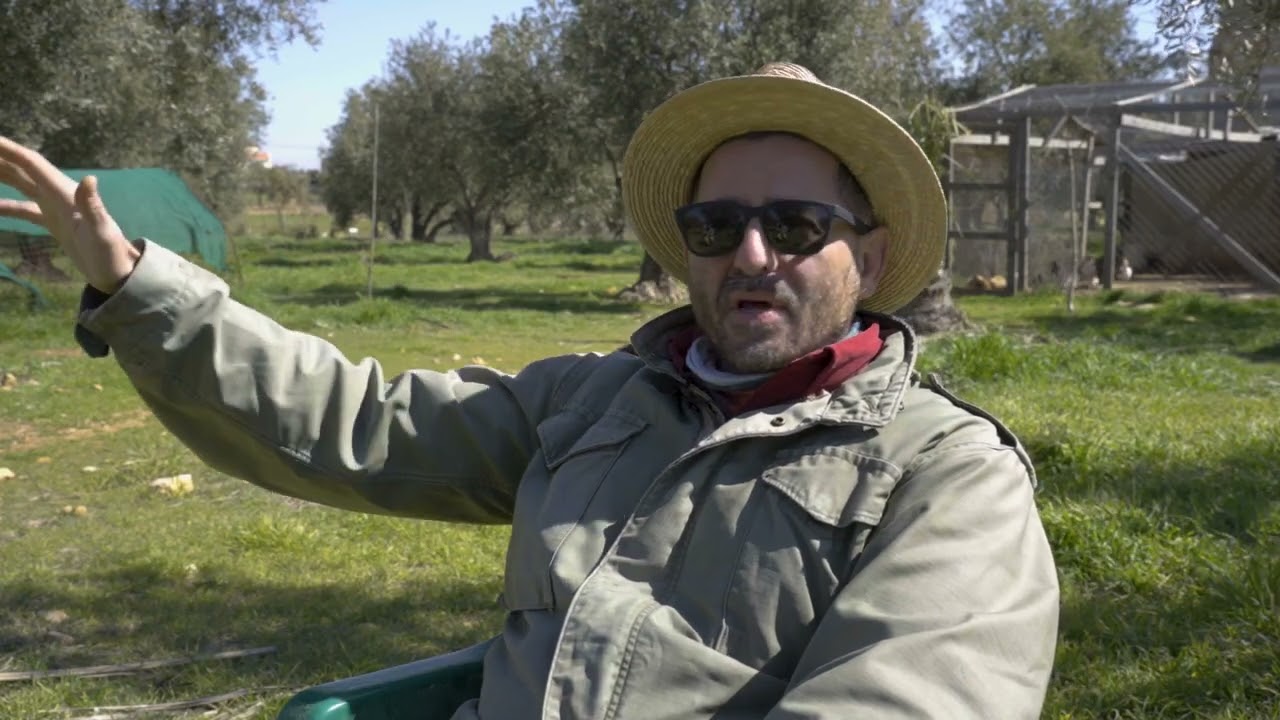 الزراعة المتجددة في الأردن: مزرعة الخروب / Regenerative agriculture in Jordan: Carob Farm