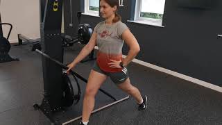 Split Squat  with support