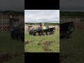 九五式軽戦車"ハ号"里帰り 甲