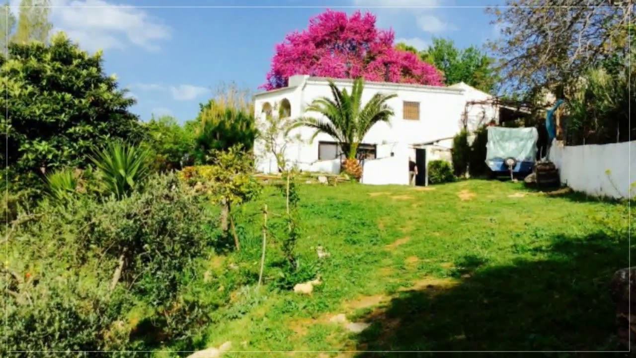 Investment Smallholding in Constantina, Spain