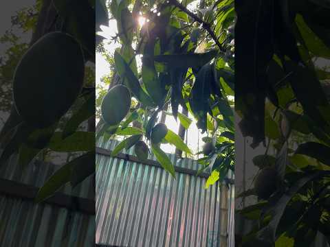 সুবহানাল্লাহ 🥰