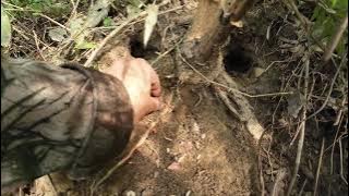 SPECIALTY OF WILD MEAT FROM THE SACRED FOREST - Winter Forest Part |