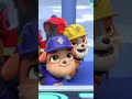 Rubble i ekipa | Chase używa komputera, by rozwiązać zagadkę! #Shorts