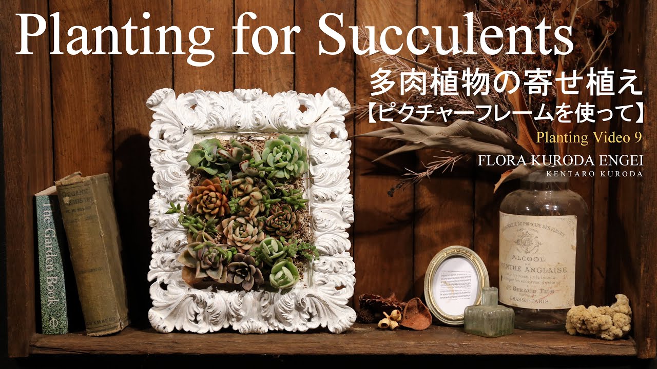 Succulent Planting 【Japan】 - YouTube