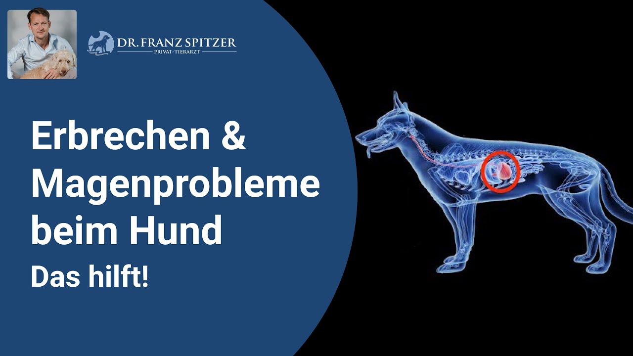 Du Bist Spitzer Als Eine Läufige Hündin Du Bist Spitzer Als Eine Läufige Hündin