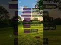 🔄 Cambiar en francés 🇫🇷 | Aprende fácil y rápido#frances#french #français #changer #verbos👩🏾‍🏫❤️⚡