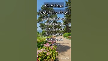 سورة المائدة الآية ٦ ¹