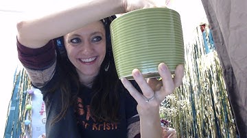 VIPKid| EASY and Cheap reward system