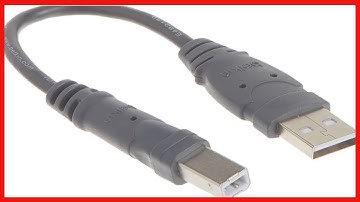 Belkin Components USB A/B Device Daisy Chain for USB Hub (6 Inches)