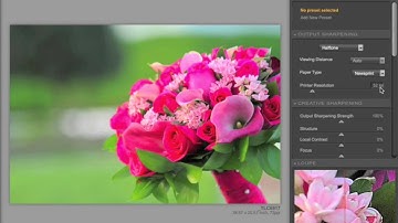Nik Sharperner Pro UI