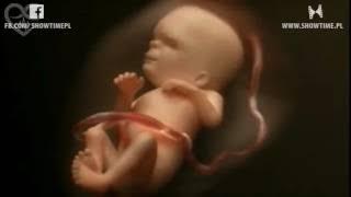 Zobacz 9 miesięcy ciąży w zaledwie 4 minuty  Ten widok zapamiętasz na długo
