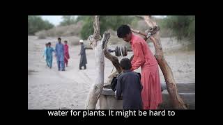 My Role in Climate Action  Act Now, Act Differently, Act Together