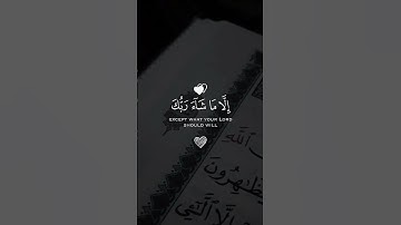 شارك الفديو #القرآن_الكريم #اكسبلور #لايك #ترند #المصحف #تلاوة_خاشعة ‎%#أنيس_النُّفوس #لايك #تيكتوك