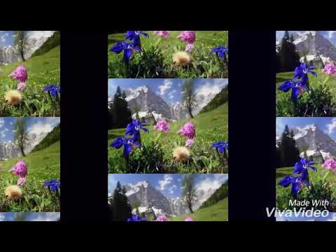 Sorina Nistor-in alta lume(cover Anda Adam)