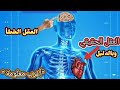 هل العقل في القلب ام الدماغ مكان العقل في القرآن مكان العقل الباطن معلومة وقصة