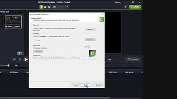 custom export preset in Camtasia 2019 for quicker production