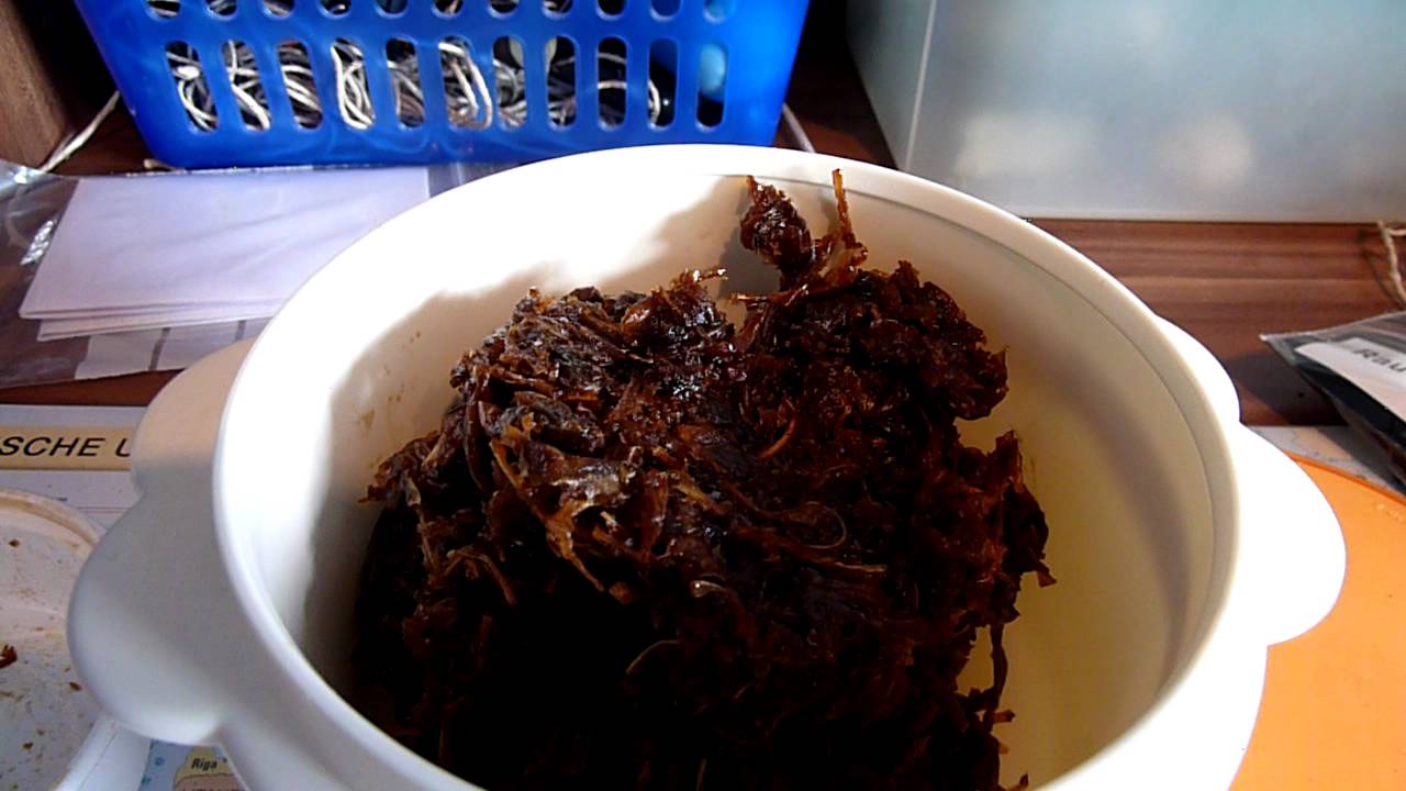 Shisha Tabak Havana anfeuchten