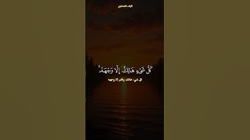 سورة القصص | الشيخ محمد صديق المنشاوي