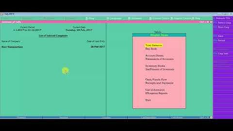 Tally Development Change backround and Change the Font Voucher type change