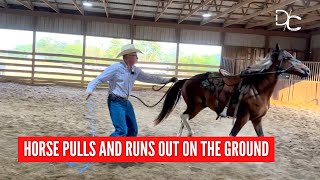 D/C  TRAINING OUT UNDESIRABLE BEHAVIOR  |  Horse Rules the Roost