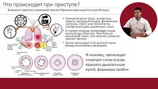 картинка: Урок 1 - что мы знаем о бронхиальной астме