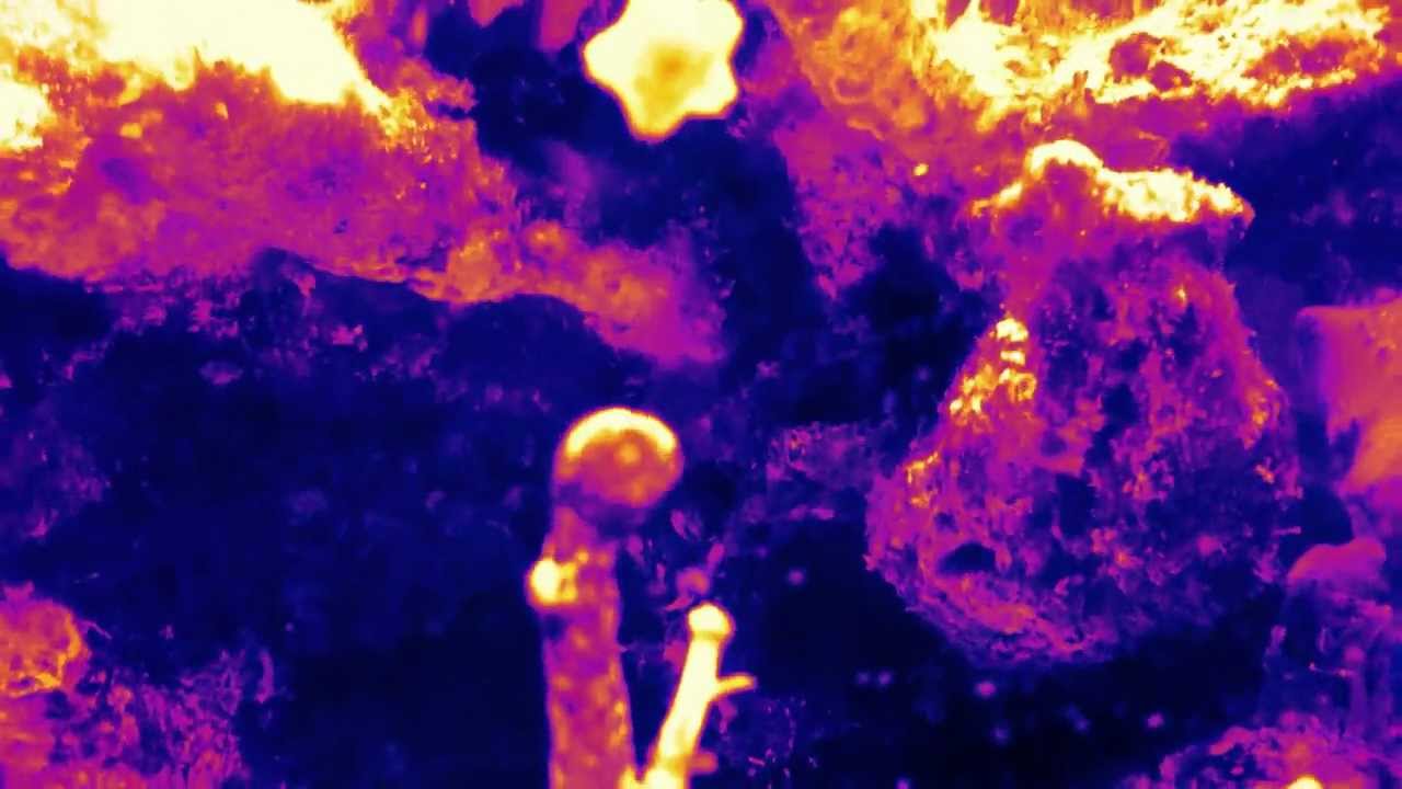 PROMETHEUS ALIEN SNAKE-PENIS!! - YouTube