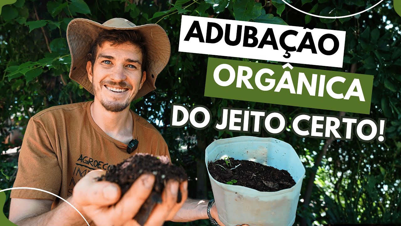 Como adubar seu solo de forma natural e eficiente (sem depender de NPK)
