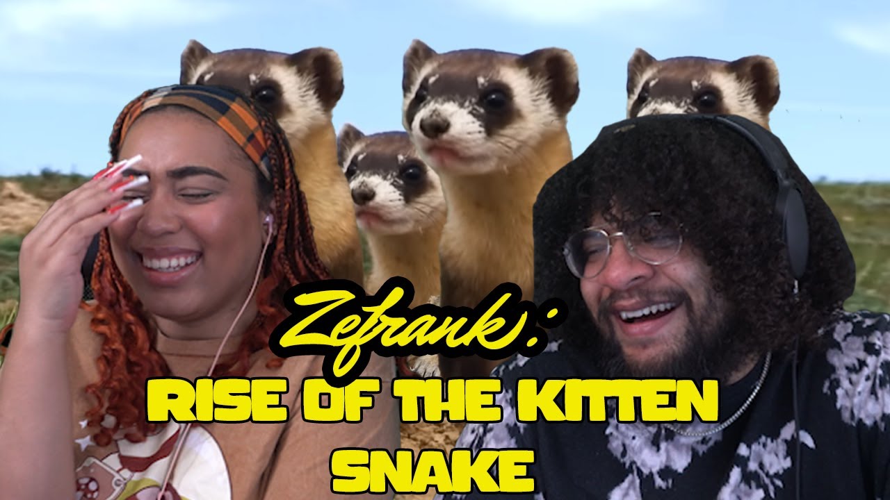 Zefrank: Восстание котёнка-змея!!