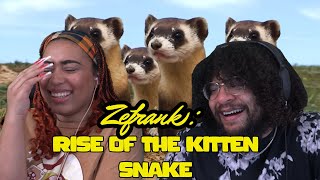 Zefrank: Rise Of The Kitten Snake!!