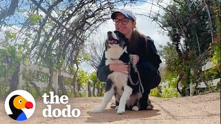 When A Dog Is The Best Antidepressant | The Dodo