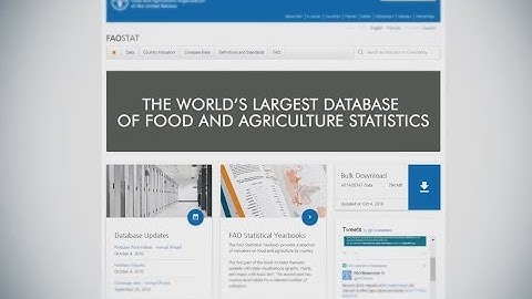 FAOSTAT: the world